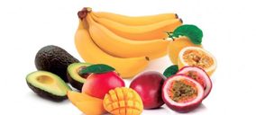 Concentrol elabora un nuevo catálogo de soluciones de conservación de alimentos