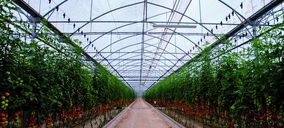 Innovación y desarrollo en los invernaderos andaluces