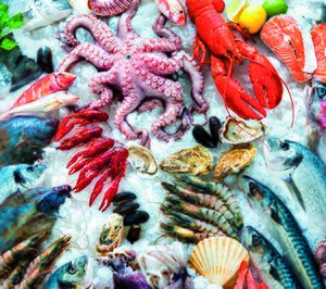 Posicionamiento en origen y valor añadido, factores claves de los productos del mar congelados