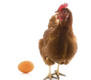 Makro dejará en 2022 de vender bajo su MDD huevos de gallinas criadas en jaula