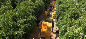 Martinavarro y Rio Tinto se unen para crear el grupo citrícola Citri&Co