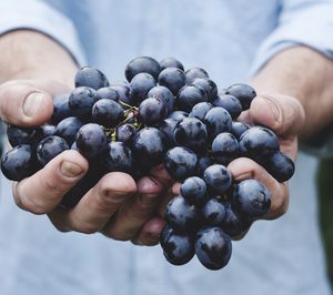 SanLucar Fruit apuesta por el mercado asiático