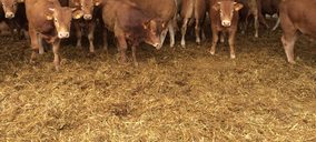 Provacuno potenciará la imagen del vacuno español en ferias internacionales