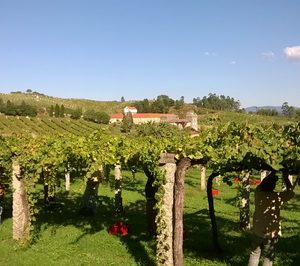 Terras Gauda y el CSIC potencian las propiedades biosaludables del vino