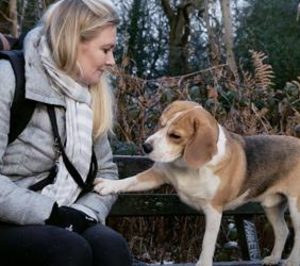 Mars lanza una campaña de César en redes sociales