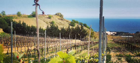Alta Alella reorganiza su negocio de vinos y cavas tras la venta de Privat
