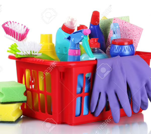 Ventas recordde Net Service Canarias