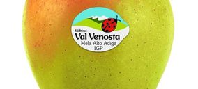 Val Venosta afronta el futuro con una nueva organización interna