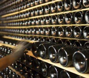 Juve & Camps lidera un innovador proyecto de I+D