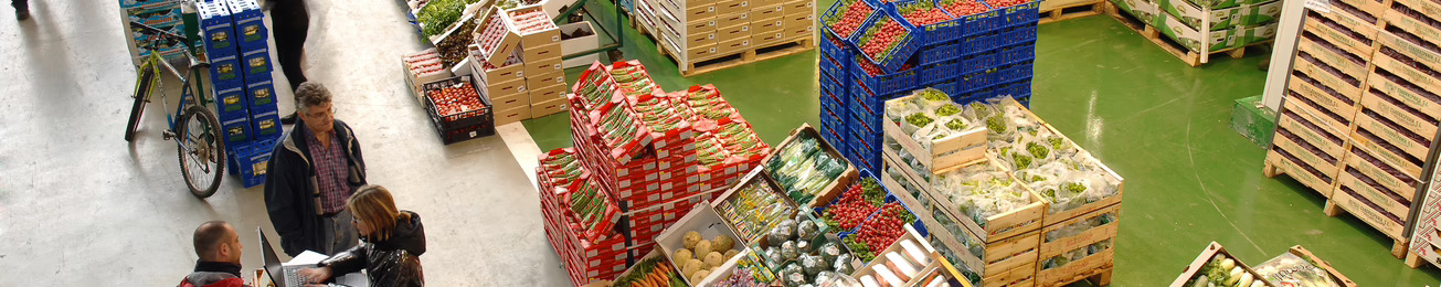 La venta mayorista de frutas y hortalizas, en fase de expansión