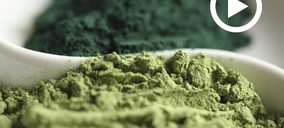 El boom de las algas