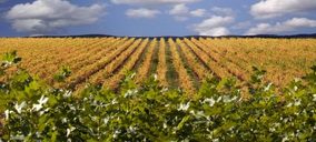 Amenazas y oportunidades en el sector del vino