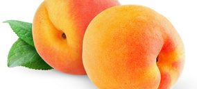 Cofrusa recupera cuota de mercado tras superar los 42 M de ingresos