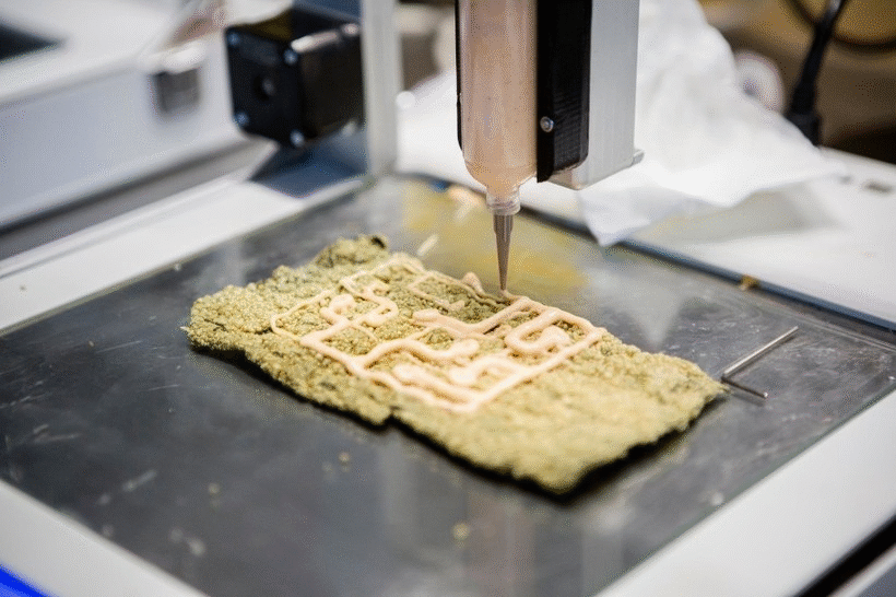 Las masas de microalgas tienen un gran potencial alimentario y en la impresión 3D.