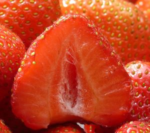 PrepWorld y Surexport crean una nueva empresa de fruta de IV gama en España