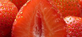 PrepWorld y Surexport crean una nueva empresa de fruta de IV gama en España