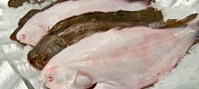 Atitlan adquiere Aquacría de manos de Cupimar