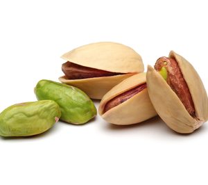 Appistaco promueve una planta de envasado de pistacho