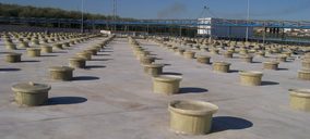 Dcoop compra terrenos e inicia su programa inversor en aceituna