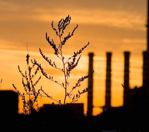 La huella de carbono del cemento podría reducirse un 80% en 2050