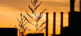 La huella de carbono del cemento podría reducirse un 80% en 2050