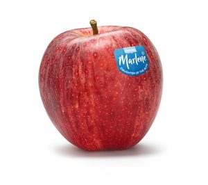Las manzanas Marlene estrenan imagen de marca