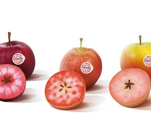 Ifored llama Kissabel a sus manzanas de pulpa de color