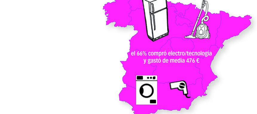 ¿Qué españoles compraron más electrodomésticos y de qué familias?