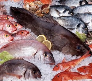 Navimarpesca inicia su expansión como relevo de La Astorgana