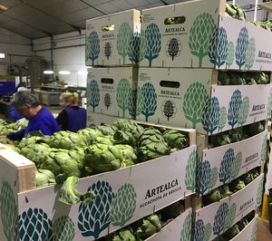 Artealca invierte en el negocio de conservas de maíz y alcachofas