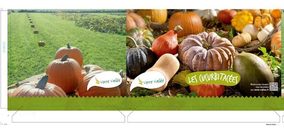 Green Box se pasa al digital