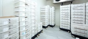 Un frigorífico de servicios entra en concurso