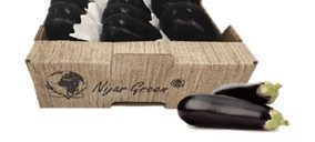 Níjar Green Bio invierte 1,5 M en mejorar sus instalaciones