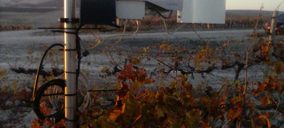 Barbadillo, big data e inteligencia artificial en sus viñedos