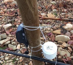 Bodegas Riojanas opta por el Field Monitoring de Bosch