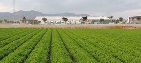 GS España simplifica su estructura y fusiona el grupo Agricola 92