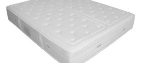 Magister Confort busca salidas para evitar la liquidación