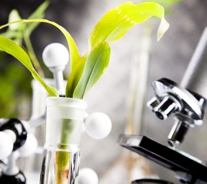 Sensient Fragrances trabaja para fomentar su expansión