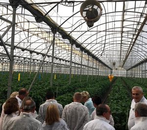Hortiespaña impulsará los alimentos cultivados en invernadero