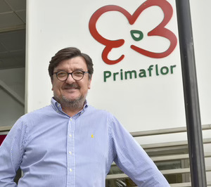 Cecilio Peregrín (Primaflor):“Deberíamos mejorar la excesiva oferta en comparación con la demanda”