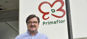 Cecilio Peregrín (Primaflor):“Deberíamos mejorar la excesiva oferta en comparación con la demanda”