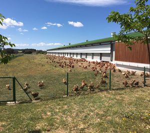 La interproveedora Huevos Guillén invertirá 13 M€ en Teruel