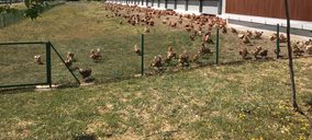 La interproveedora Huevos Guillén invertirá 13 M€ en Teruel