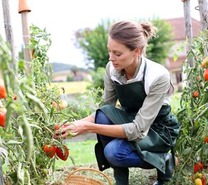 Ecovalia asesorará a empresas bio para aumentar su peso en el consumo interno