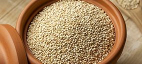 Alsur impulsa su negocio de quinoa y bate récord de ingresos