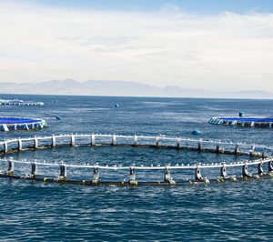 El grupo Andrómeda se reestructura y contempla nuevo proyecto