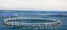 El grupo Andrómeda se reestructura y contempla nuevo proyecto