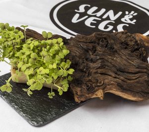Sun&Vegs presenta los microgreens