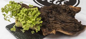 Sun&Vegs presenta los microgreens