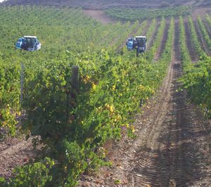 Pernod Ricard negocia la venta de una de sus bodegas a un grupo portugués